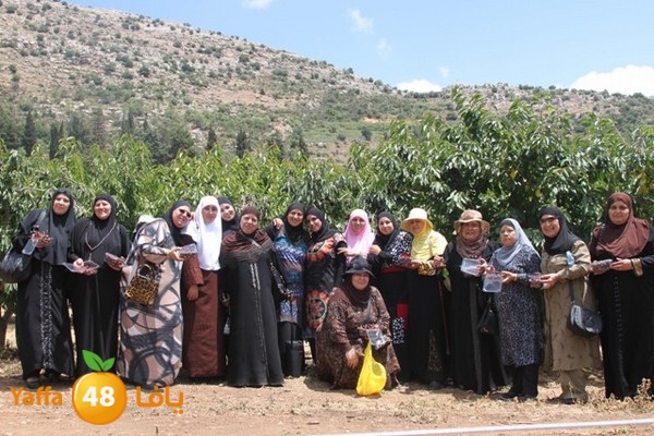 bayareq re7la shamal 0612 (65).JPG